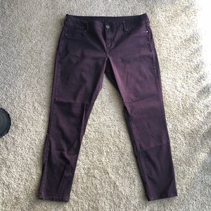 Maurices dark purple skinny jeggings